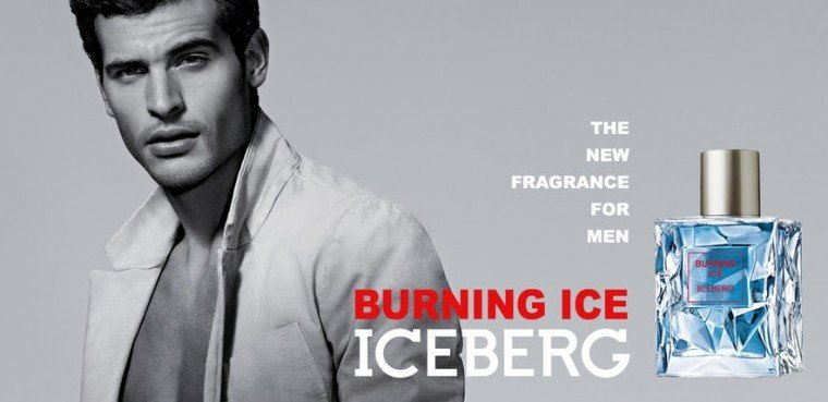 Iceberg