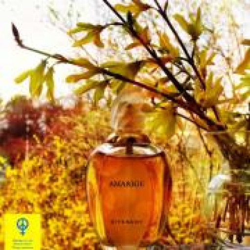 https://dulluxperfumaria.loja.biz/media/tmp/catalog/product/a/m/amarige_givenchy.jpg