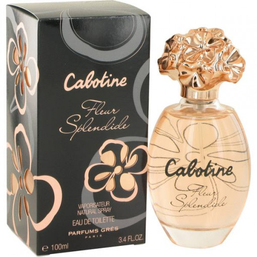 http://dulluxperfumaria.dev.bizcommerce.com.br/media/tmp/catalog/product/c/a/cabotine_fleur_splendide.jpg