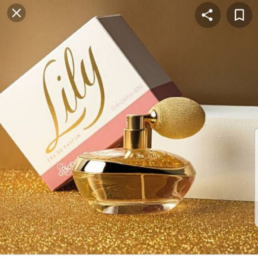https://dulluxperfumaria.loja.biz/media/tmp/catalog/product/l/i/lily.jpg