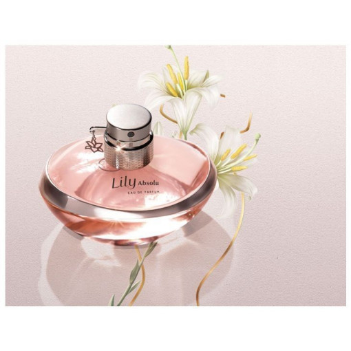 https://dulluxperfumaria.loja.biz/media/tmp/catalog/product/l/i/lily_absolu.jpg