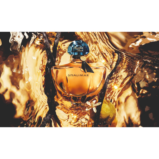 https://dulluxperfumaria.loja.biz/media/tmp/catalog/product/m/i/mill_sime_vanilla_planifolia.jpeg
