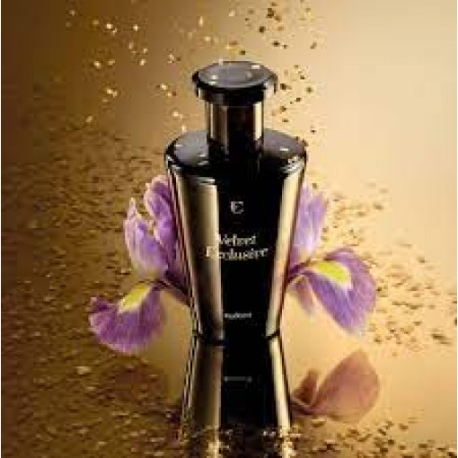 https://dulluxperfumaria.loja.biz/media/tmp/catalog/product/v/e/velvet_exclusive.jpg
