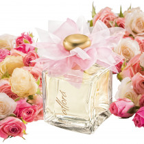 http://dulluxperfumaria.loja.biz/media/tmp/catalog/product/a/f/aflora-deo-colonia-eudora-95ml_1_811556_1_.jpg
