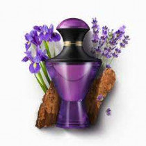https://dulluxperfumaria.loja.biz/media/tmp/catalog/product/a/l/alchemists_iris.jpg