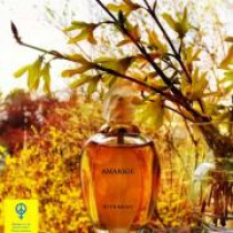 https://dulluxperfumaria.loja.biz/media/tmp/catalog/product/a/m/amarige_givenchy.jpg