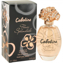 http://dulluxperfumaria.dev.bizcommerce.com.br/media/tmp/catalog/product/c/a/cabotine_fleur_splendide.jpg