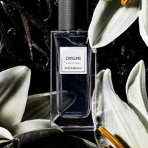 https://dulluxperfumaria.loja.biz/media/tmp/catalog/product/c/a/capeline_yves_saint_laurent_1.jpg