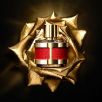 https://dulluxperfumaria.loja.biz/media/tmp/catalog/product/c/h/ch_insignia.jpg