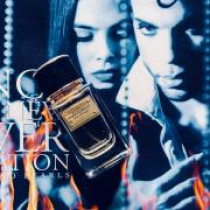 https://dulluxperfumaria.loja.biz/media/tmp/catalog/product/d/o/dolce_gabbana_velvet_patchouli_1.jpg