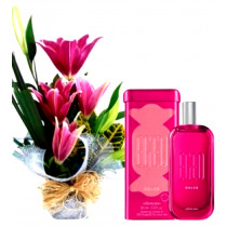 https://dulluxperfumaria.loja.biz/media/tmp/catalog/product/e/g/egeo_dolce.jpg