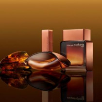 https://dulluxperfumaria.loja.biz/media/tmp/catalog/product/f/i/fit.53939.jpg