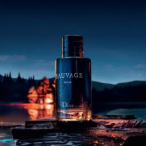 https://dulluxperfumaria.loja.biz/media/tmp/catalog/product/f/i/fit.64503.jpg