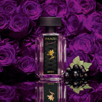 https://dulluxperfumaria.loja.biz/media/tmp/catalog/product/i/m/imari_corset_1.jpg