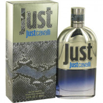 http://dulluxperfumaria.dev.bizcommerce.com.br/media/tmp/catalog/product/j/u/just_cavalli_new.jpg