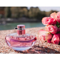 https://dulluxperfumaria.loja.biz/media/tmp/catalog/product/l/o/love_lily.jpg