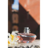 http://dulluxperfumaria.loja.biz/media/tmp/catalog/product/2/0/2019-grasse-o-boticarion--101_1_.jpg