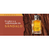 https://dulluxperfumaria.loja.biz/media/tmp/catalog/product/2/0/2021_c11_banner_blog_zaad_santal_1_.jpg