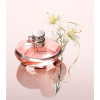 http://dulluxperfumaria.loja.biz/media/tmp/catalog/product/7/7/77509_1_.jpg