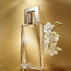 https://dulluxperfumaria.loja.biz/media/tmp/catalog/product/a/t/attraction_for_her_1.jpg