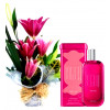 https://dulluxperfumaria.loja.biz/media/tmp/catalog/product/e/g/egeo_dolce.jpg