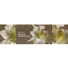 https://dulluxperfumaria.loja.biz/media/tmp/catalog/product/e/s/essencial-exclusivo-floral-topo_1_.jpg
