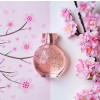 https://dulluxperfumaria.loja.biz/media/tmp/catalog/product/f/l/floratta_cerejeira_em_flor.jpg