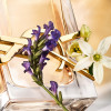 http://dulluxperfumaria.loja.biz/media/tmp/catalog/product/l/i/libre_perfume.jpg