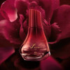 http://dulluxperfumaria.loja.biz/media/tmp/catalog/product/l/u/luna_rubi.jpg